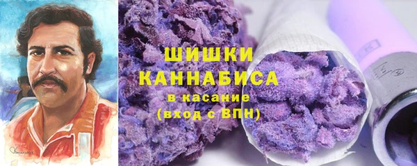 амф Верея