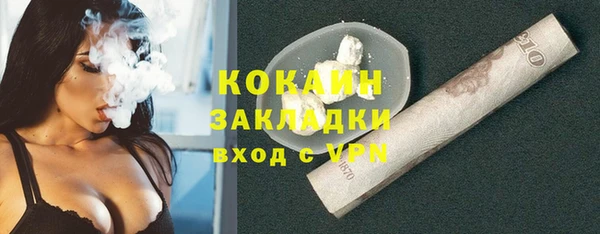 амф Верея