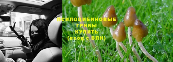 амф Верея