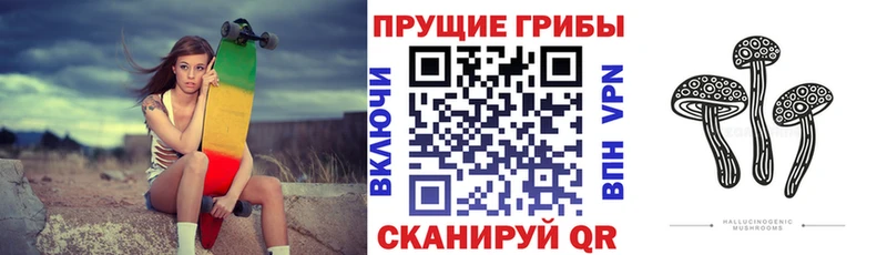 купить  цена  Гдов  darknet клад  Псилоцибиновые грибы Cubensis 